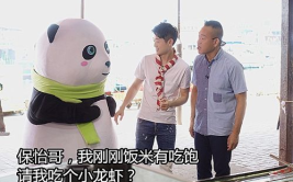 yoyo吃瓜娱乐,揭秘娱乐圈幕后故事