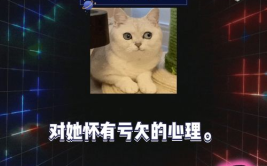 吃瓜 娱乐新闻在线观看,吃瓜娱乐新闻，在线观看最新热点