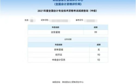 中级会计成绩查询,揭秘你的会计实力