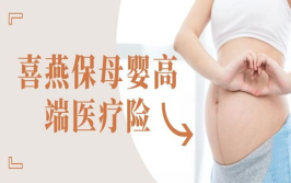 孕妇保险有哪些,全方位保障母婴健康的贴心选择