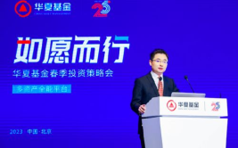 华夏基金002001,揭秘我国知名基金公司的投资实力与市场表现