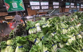 寿光蔬菜价格,涨跌波动，市场行情一览”