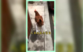 吃瓜群众的娱乐网名大全,网络热词“吃瓜群众”背后的娱乐文化现象解析