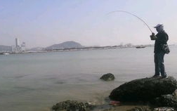 深圳海钓,探索海滨城市的钓鱼天堂