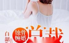 撩上瘾,撩上瘾的甜蜜诱惑之旅