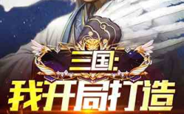 评分最高的三国小说,英雄辈出，权谋争锋，巅峰对决