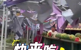 吃瓜的网西瓜被冰雹砸烂老板喊人吃瓜