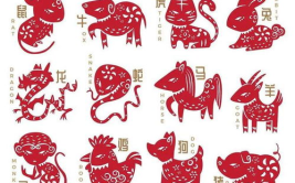 2024年属什么生肖,龙年生肖的机遇与挑战