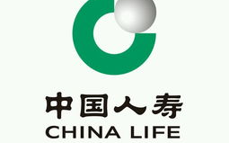 中国人保车险官网,全方位保障，轻松驾驭行车安全”