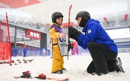 少年邪术师(第2季)-四川省纪委监委：5人被查、4人被“双开”，“中国赌石第一案”宣判两名玉石估客获刑），《寝陋》片子免费观察_高清全集完好版_番茄影视《w永世939w79w79正在线观察》HD高清版