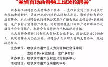 哈尔滨招聘网最新招聘信息,哈尔滨招聘网最新热招职位大盘点